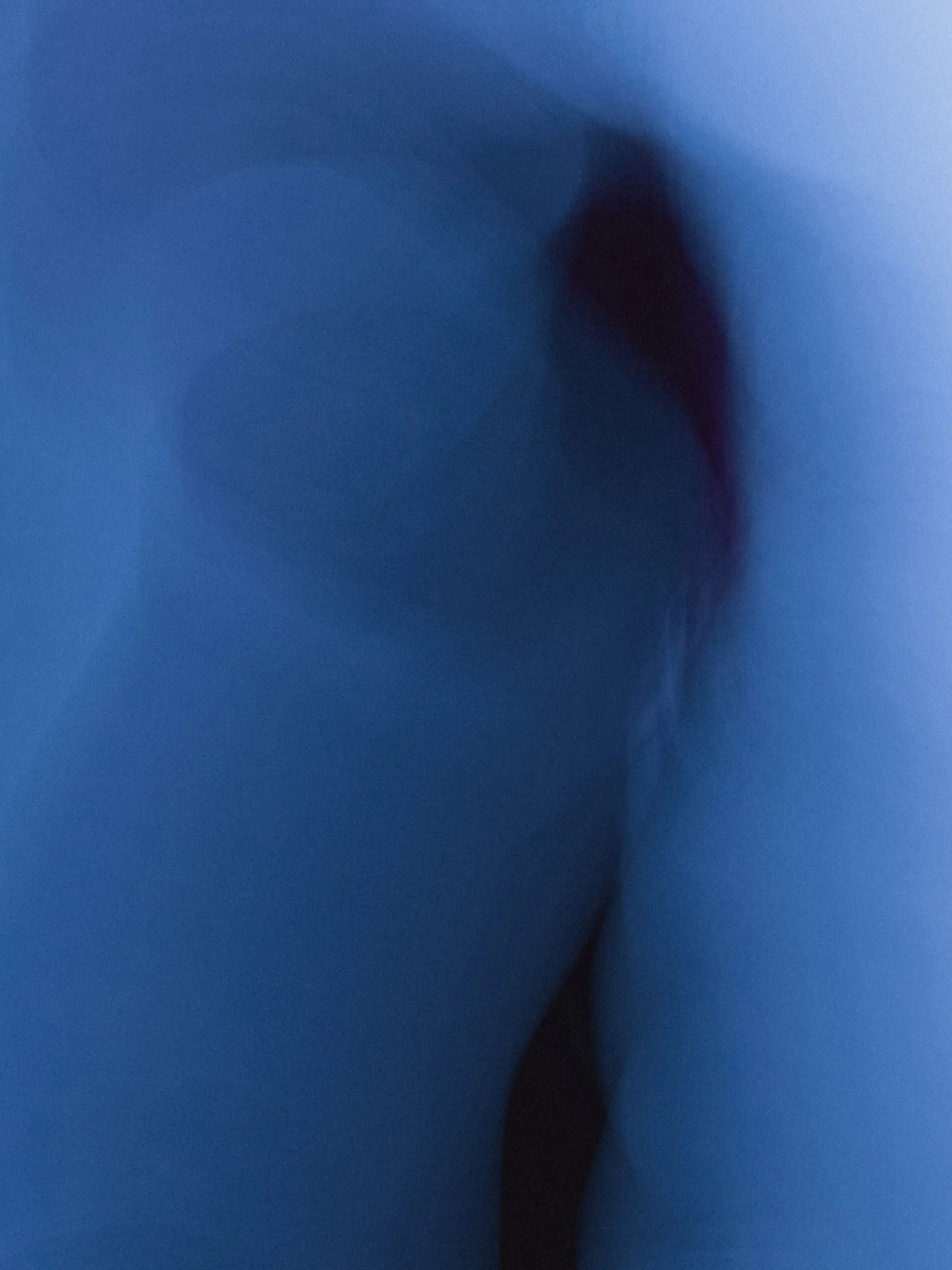 Music Programme Path